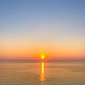 Meet your Posher, Yarley